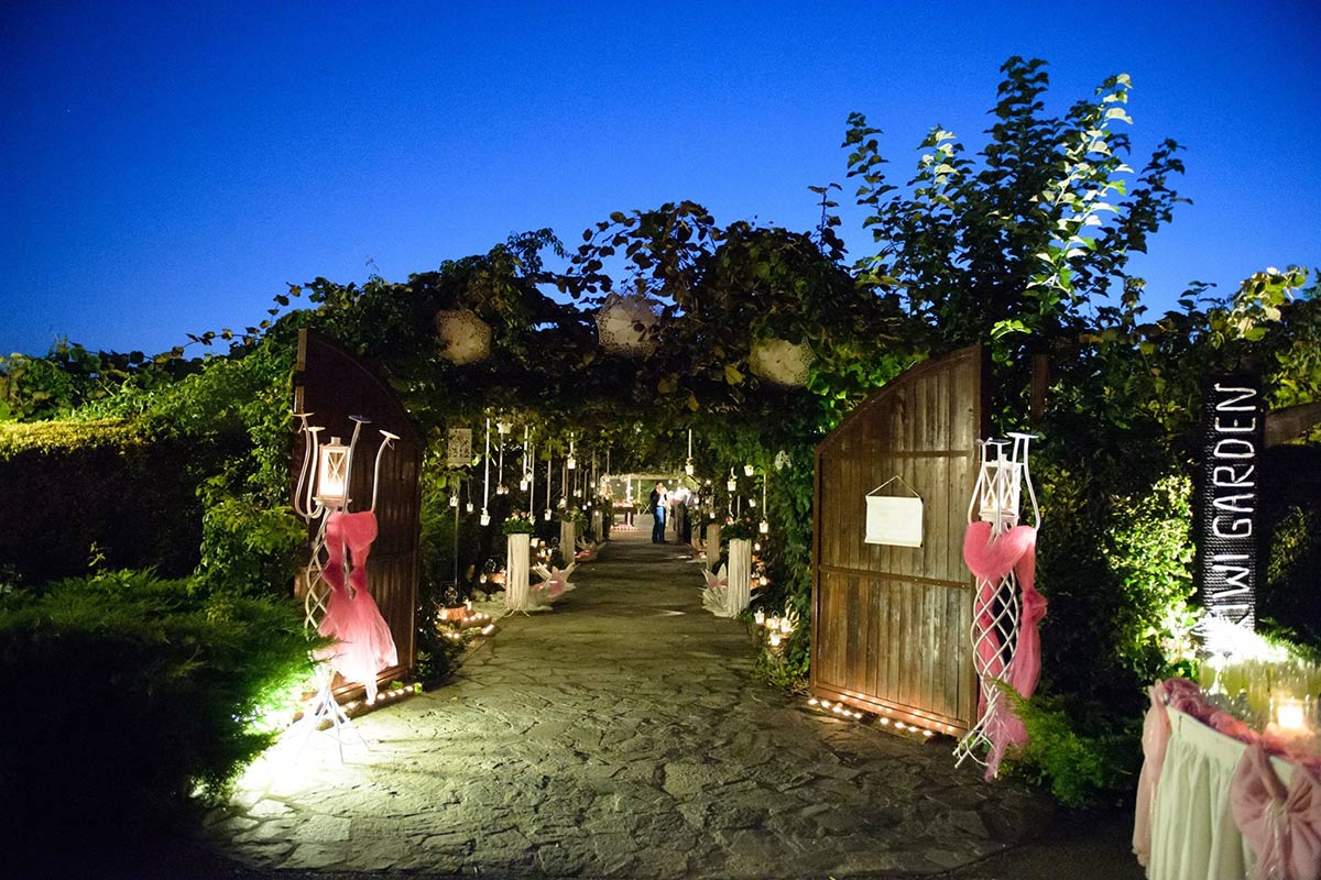 Kiwi Garden  portfolio